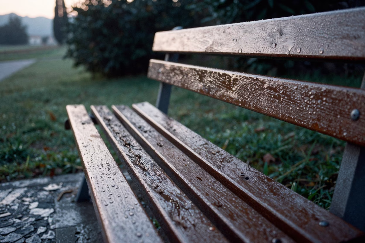 Condensation on Wooden Bench Slats in Cool Pre-Dawn Florence Italy in in Florence, Italy