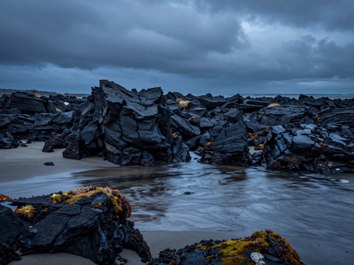 Cool Blue Hour Lava Plain Vancouver Floodplain in across a floodplain after rain near Vancouver