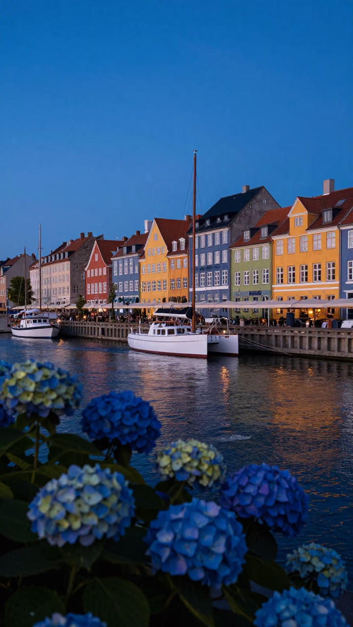 Copenhagen Blue Hour Harbor Scene with Hydrangeas and Urban Life in in Copenhagen, Denmark