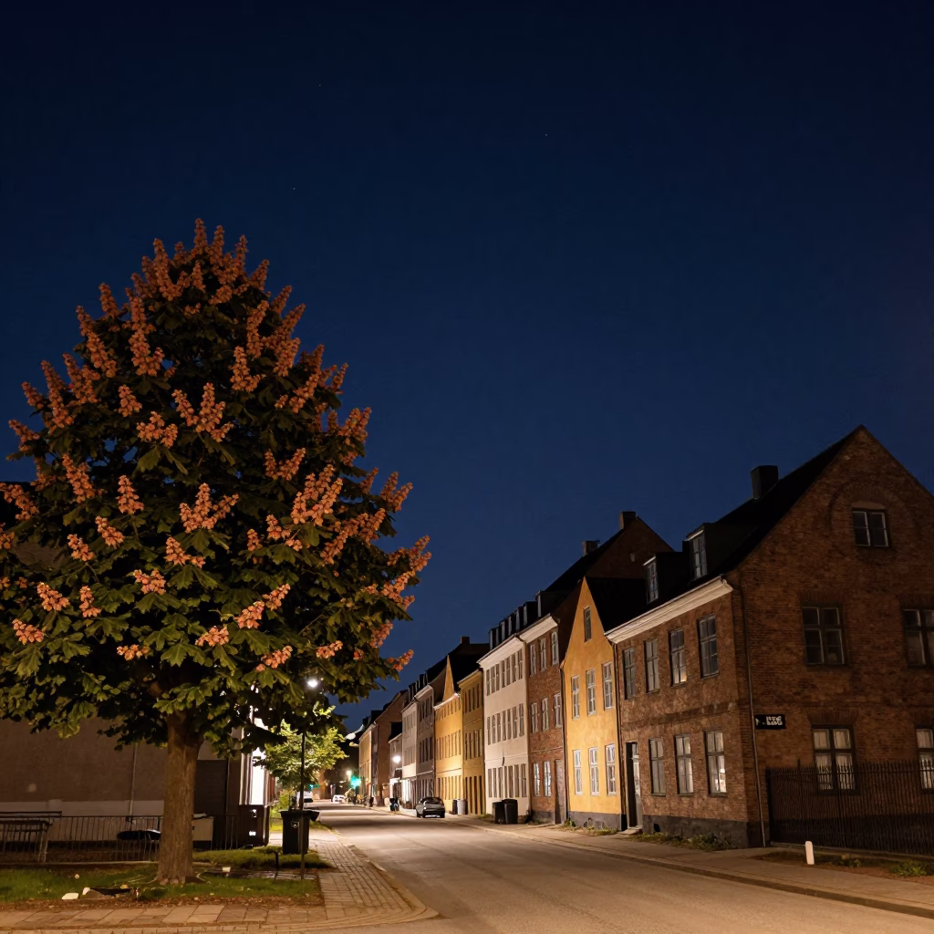 Copenhagen Denmark Deep Night Sky Street Scene with Chestnut Tree Husks in in Copenhagen, Denmark