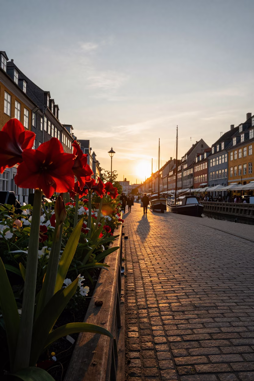 Copenhagen Denmark Street Scene at Sunset with Houseboat Garden and Urban Architecture in in Copenhagen, Denmark