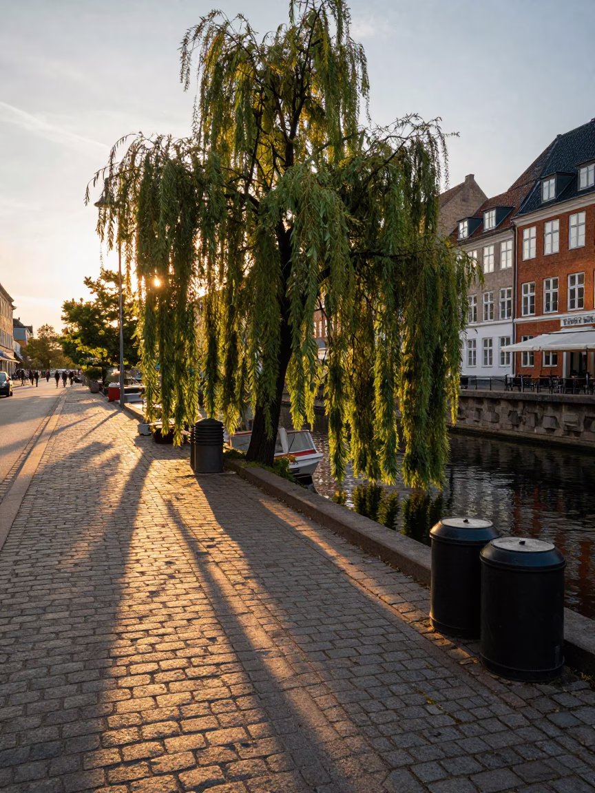 Copenhagen Golden Hour Street Scene with Canisters and Weeping Willow Reflection in in Copenhagen, Denmark