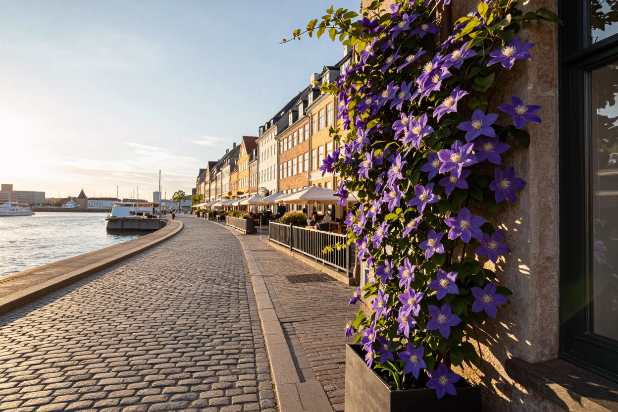 Copenhagen Golden Hour Street Scene with Clematis Vine and Historic Harbor Breakwater Beacon in in Copenhagen, Denmark