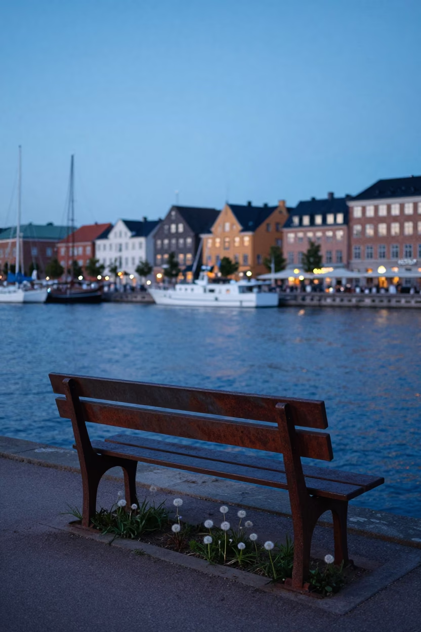 Copenhagen Harbor Evening Blue Light Rusty Bench and Dandelion Seed Head in in Copenhagen, Denmark