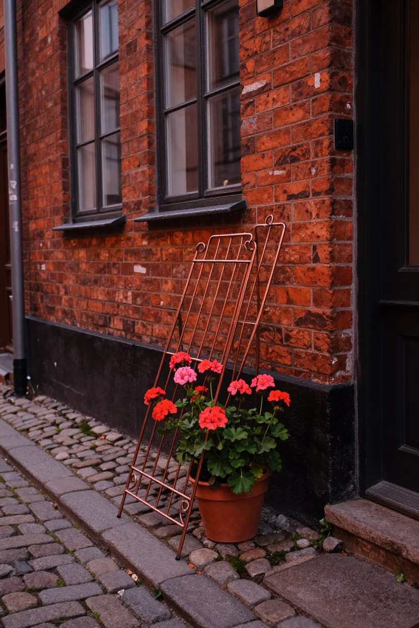 Copenhagen street corner geraniums and drying rack in copper dusk light in in Copenhagen, Denmark