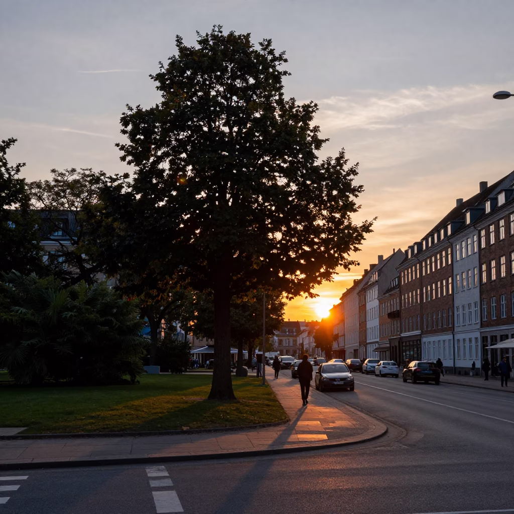 Copenhagen street scene at dusk with copper beech tree and casual urban life in in Copenhagen, Denmark