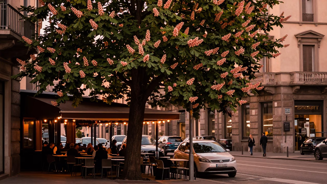 Copper Dusk Light on Milan Street with Chestnut Tree and Pizza Slice in in Milan, Italy