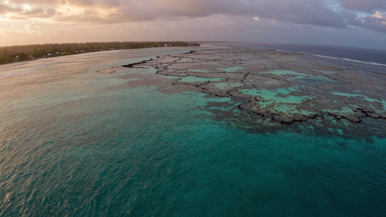 Copper Light Over Belize Volcanic Reef in beside a volcanic reef overhang near Belize City