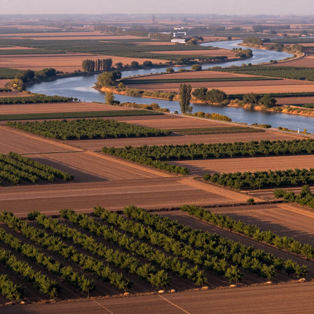 Copper Orchard Patchwork Over Henan River in far above river meanders in Henan