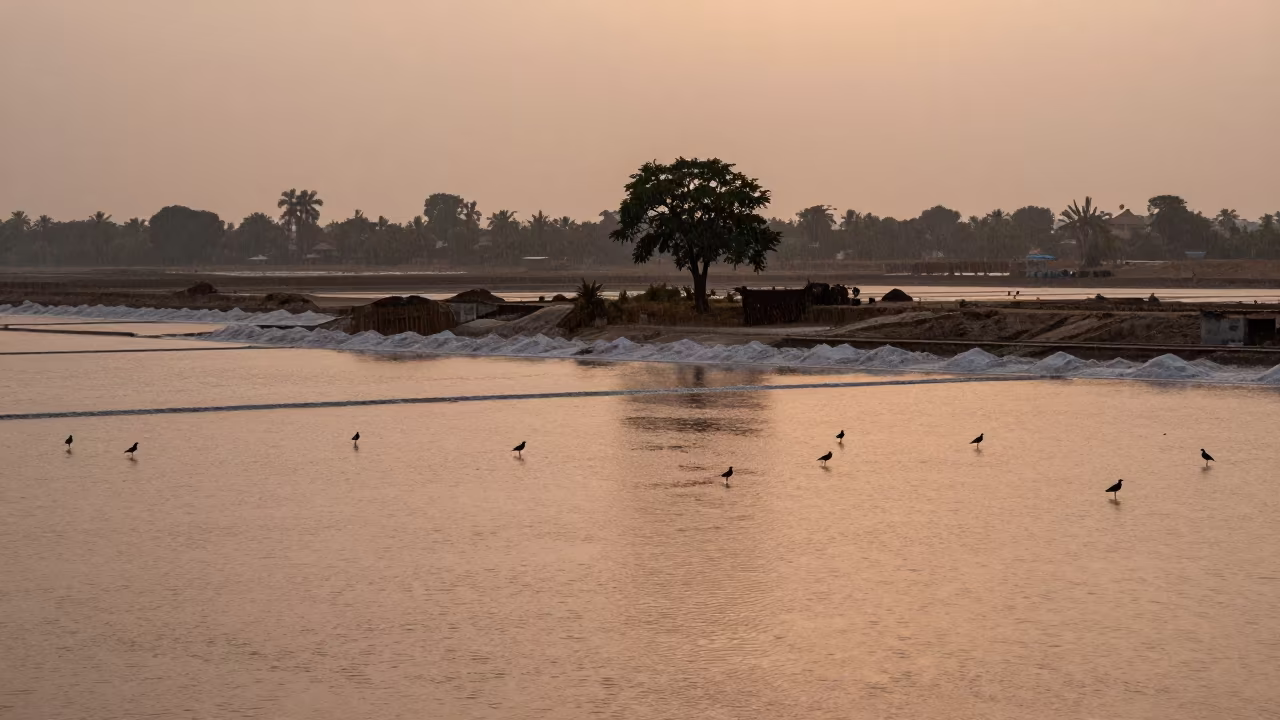 Copper Sunset Salt Flat Floodplain Near Varanasi in across a floodplain after rain near Varanasi