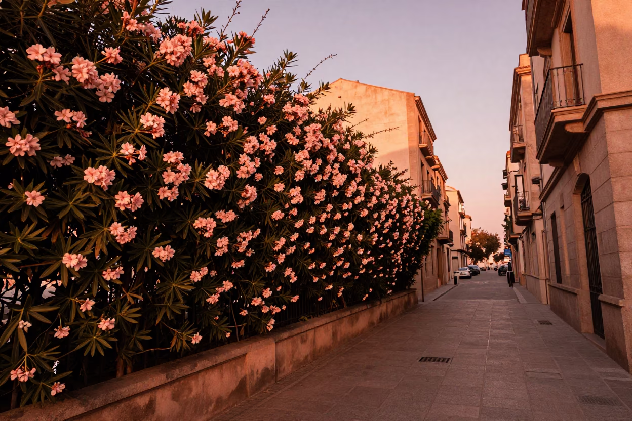 Copper Toned Barcelona Street Scene with Oleander Hedge and Monorail Reflection in in Barcelona, Spain
