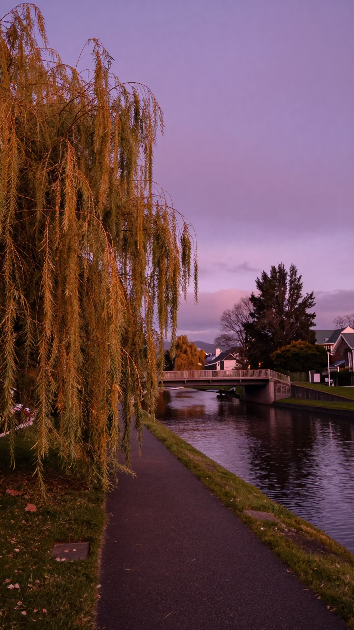 Copper-toned Christchurch Dusk View of Overpass Ramp and Weeping Willow Reflection in in Christchurch, New Zealand