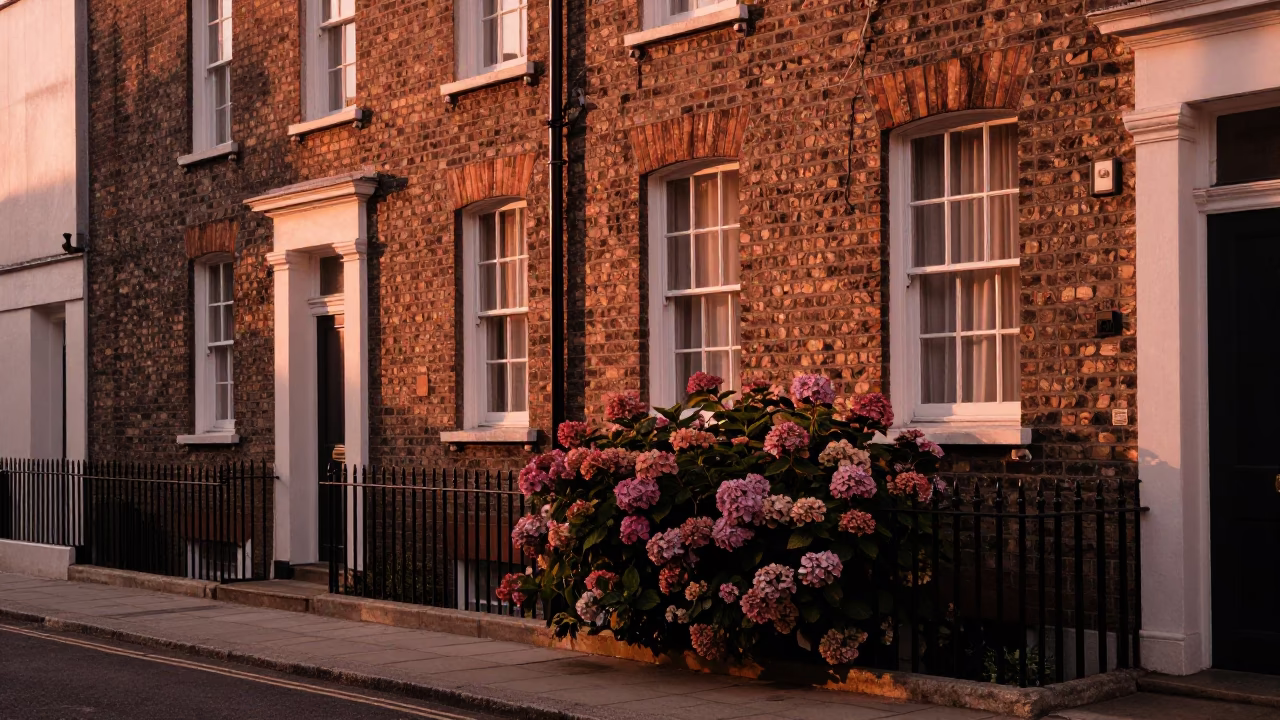 Copper-toned Dublin Dusk Street Scene with Hydrangeas and Window Light Reflections in in Dublin, Ireland