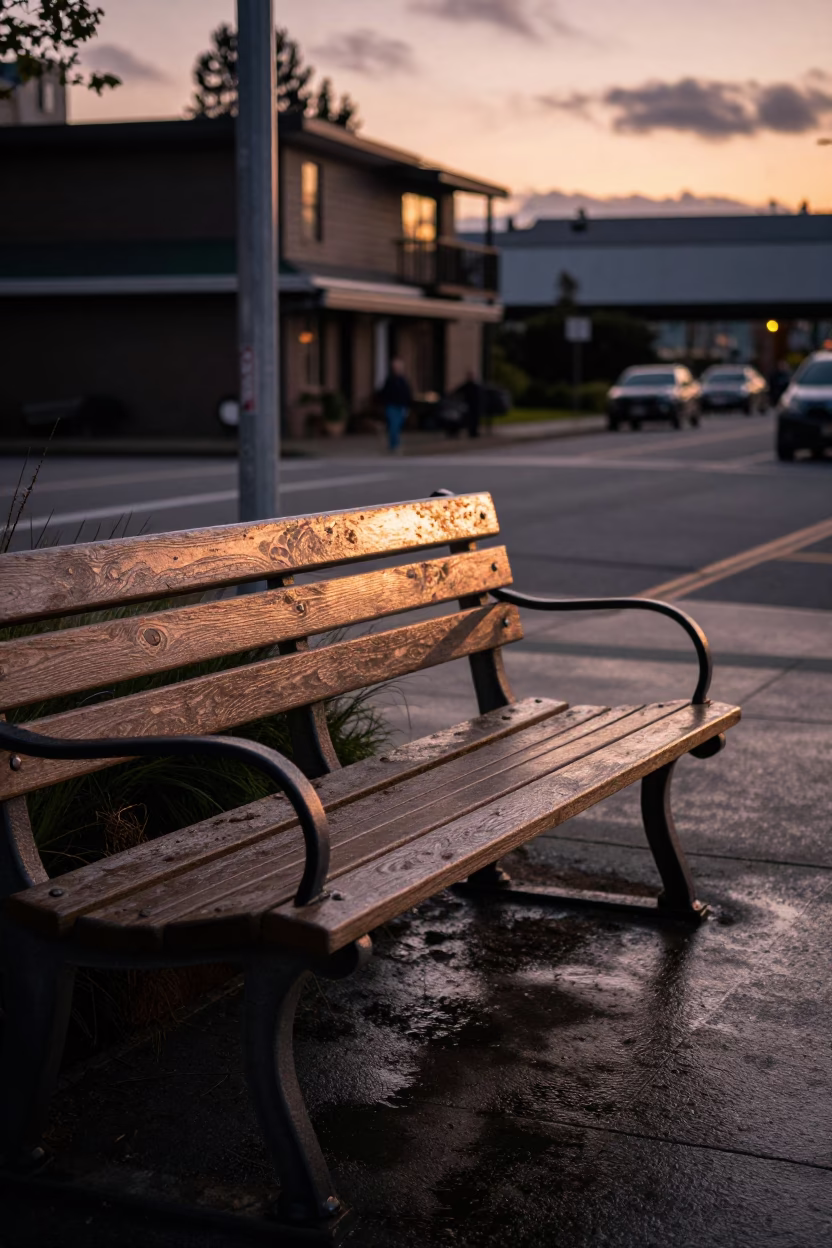 Copper-Toned Dusk in Seattle at Copper-toned Light Before Dusk in in Seattle, Washington, United States