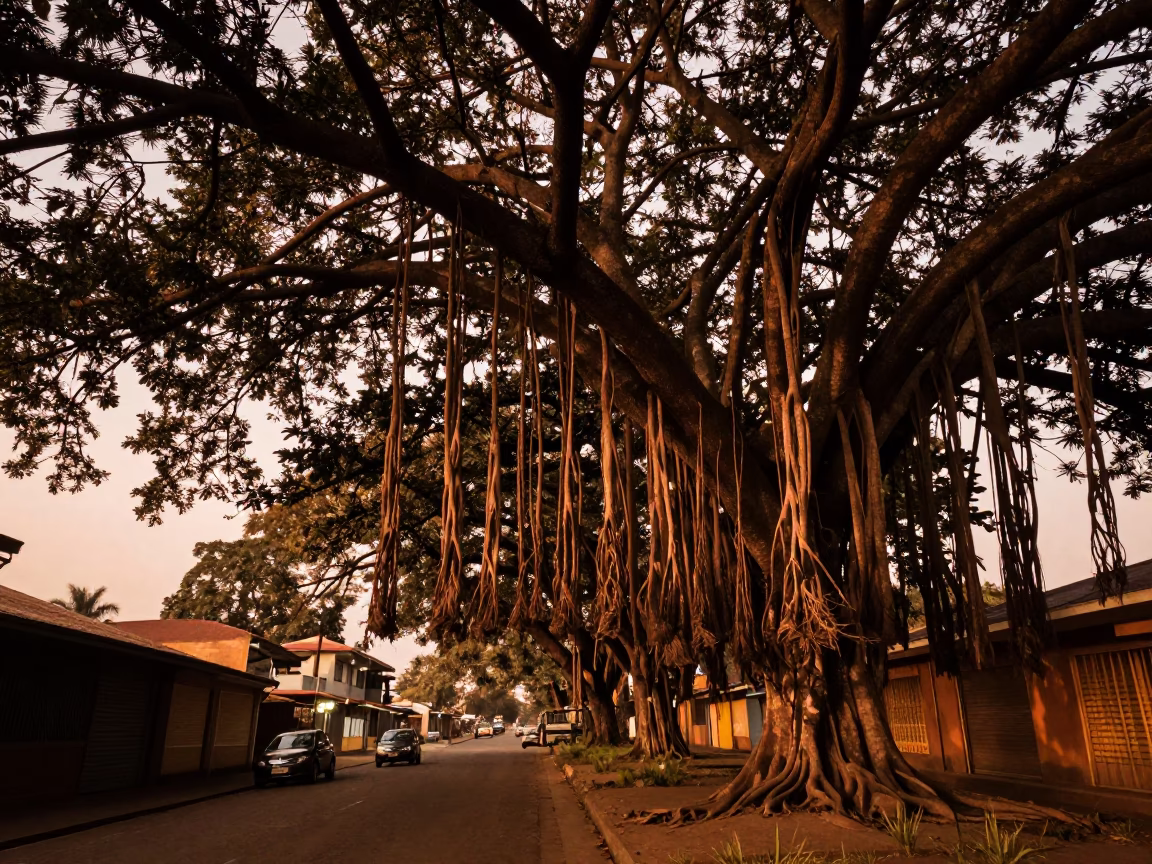 Copper Toned Dusk Landscape of Nairobi Kenya With Banyan Grove and Urban Street Scene in in Nairobi, Kenya