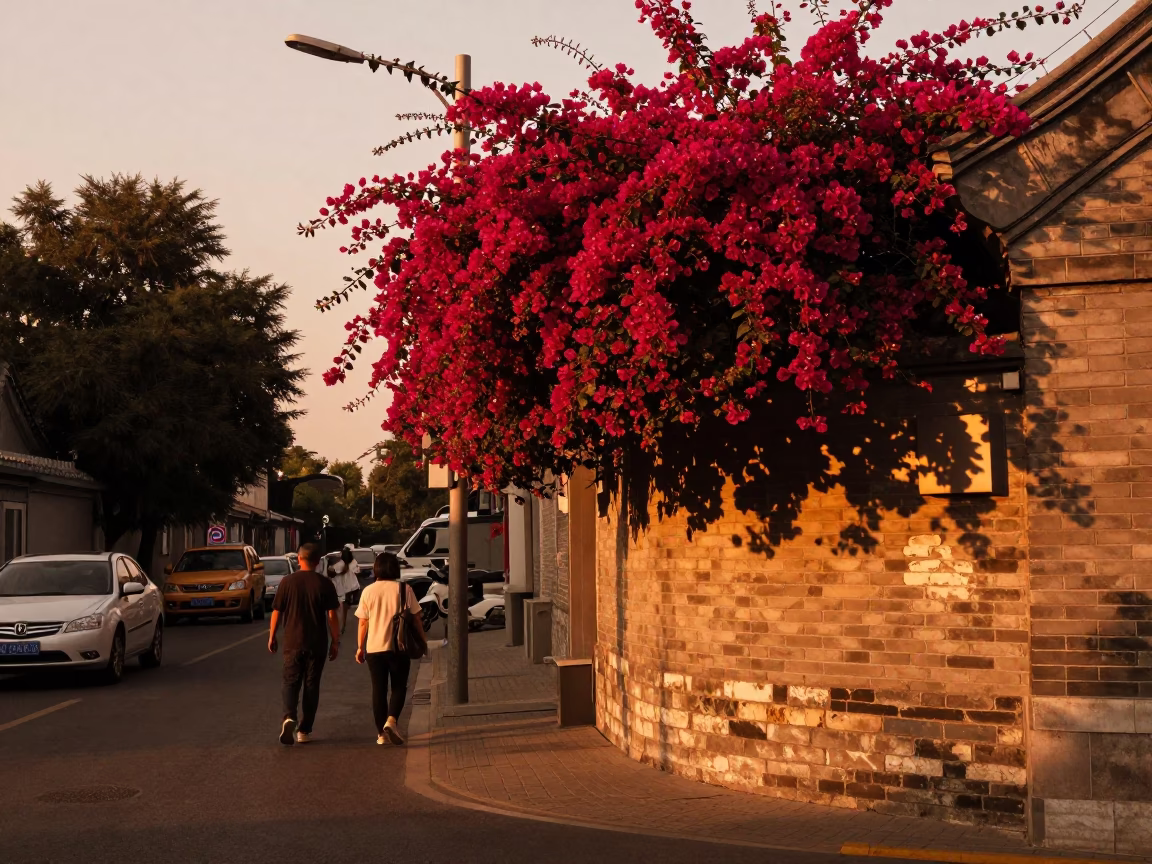 Copper-toned dusk street scene in Beijing China with bougainvillea and daily life in in Beijing, China