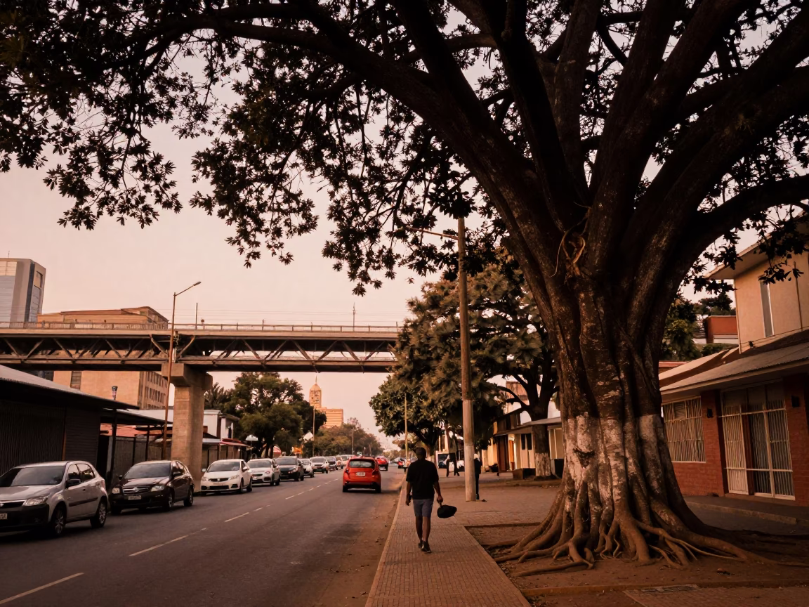 Copper-Toned Johannesburg Dusk Street Scene with Viaduct and Kapok Tree in in Johannesburg, South Africa