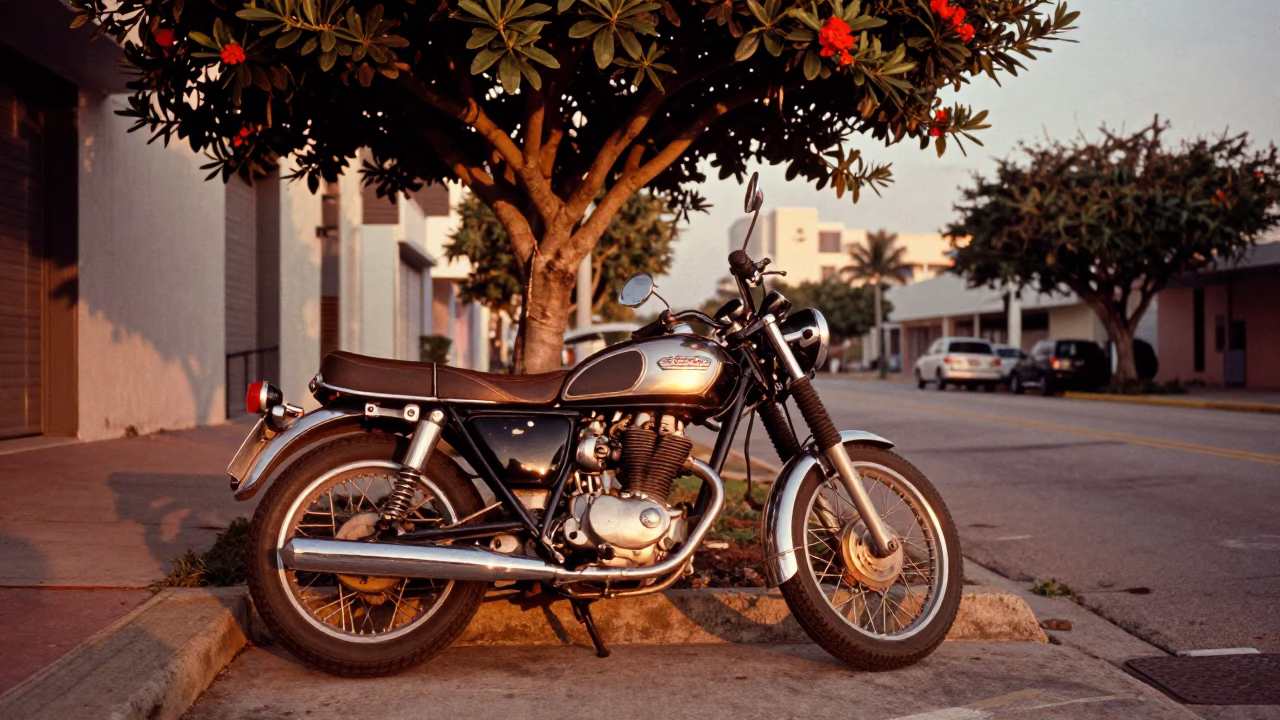 Copper Toned Miami Street Scene with Euphorbia Tree and Motorcycle Before Dusk in in Miami, Florida, United States
