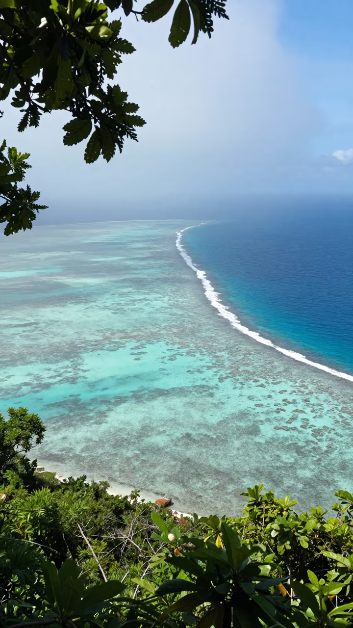 Coral Atoll View Through Leaves Near Havana in near Havana