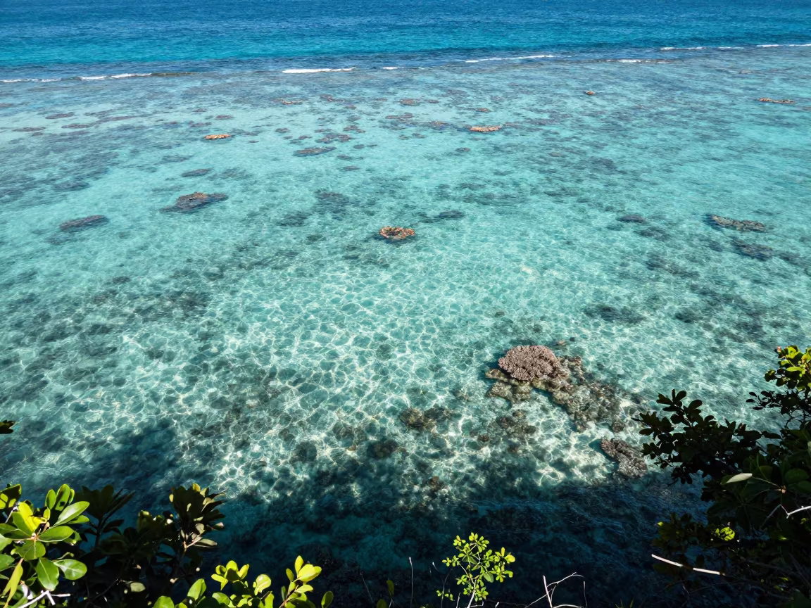 Coral Reef Wall View Cairns Noon in along a coral wall with blue water beyond near Cairns