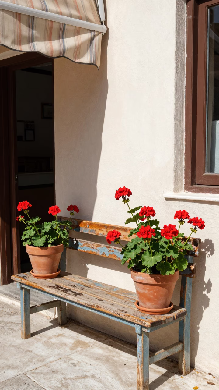 Corner Afternoon in Athens at Afternoon Light in in Athens, Greece