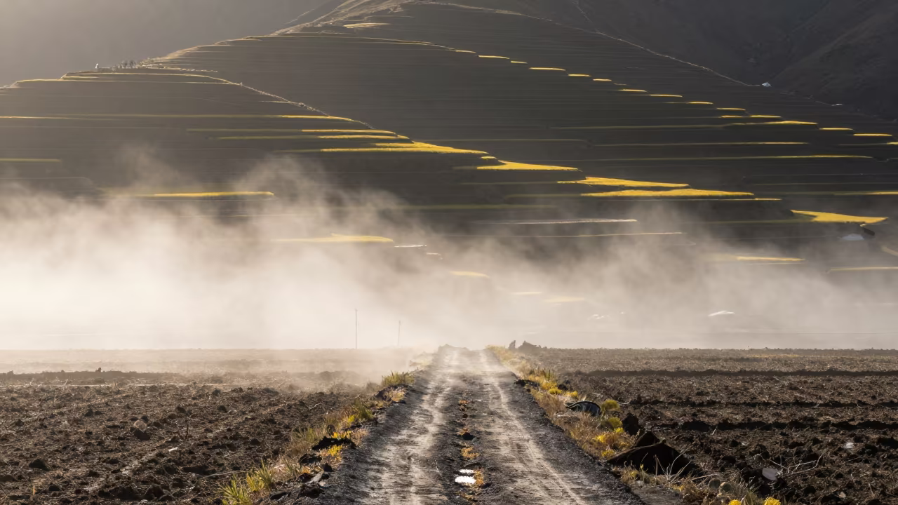 Cornfield Lane Fog Edge Tibet Terraces in among terraced rice paddies in Tibet