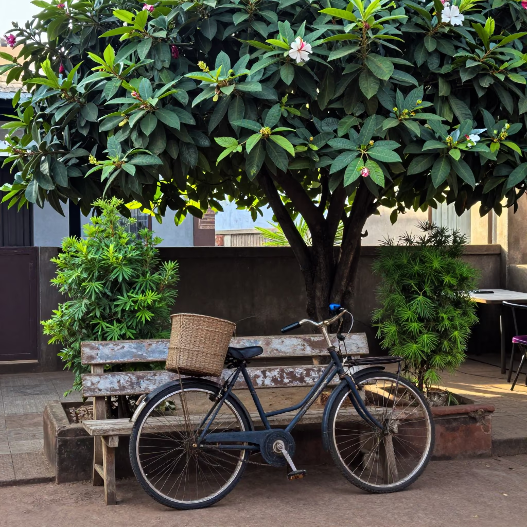 Courtyard Chores in Accra in in Accra, Ghana