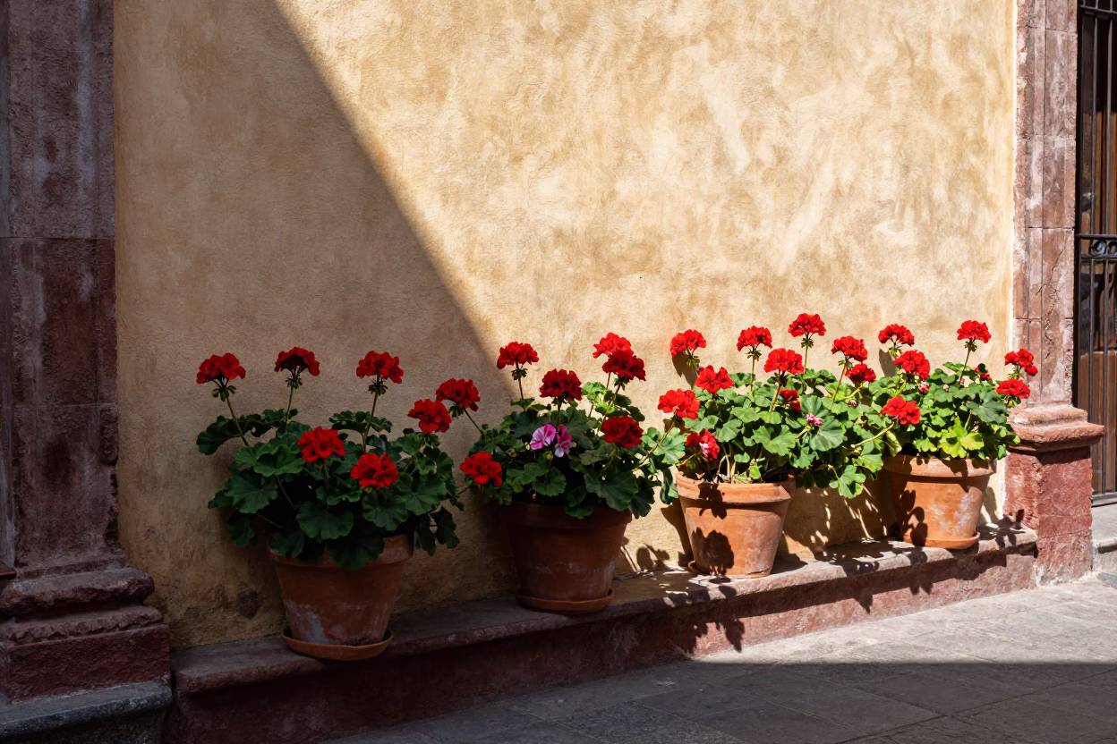 Courtyard Wall in Mexico City in in Mexico City, Mexico