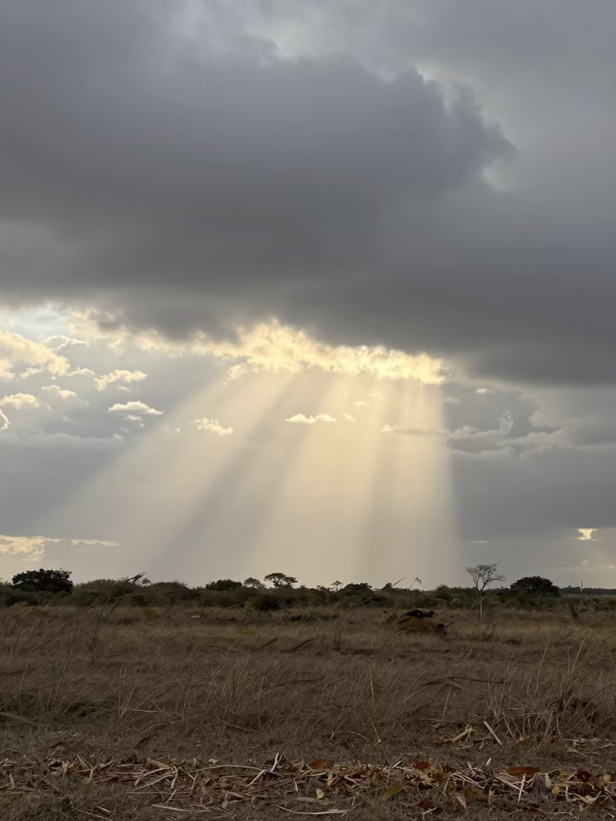 Crepuscular Rays Through Thunderheads Near Salvador in beneath fast-moving cloud bands near Salvador