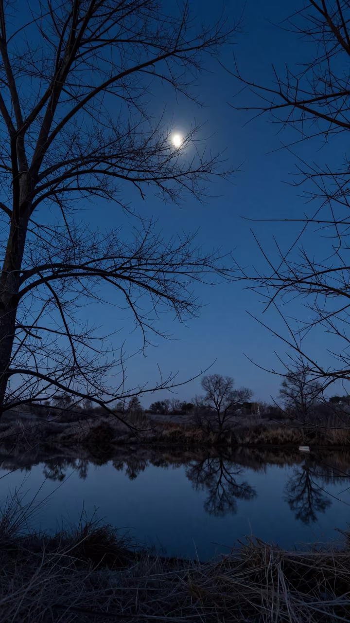 Crescent Moon Through Bare Branches at Night in from a frost-hushed ridgeline near Toamasina