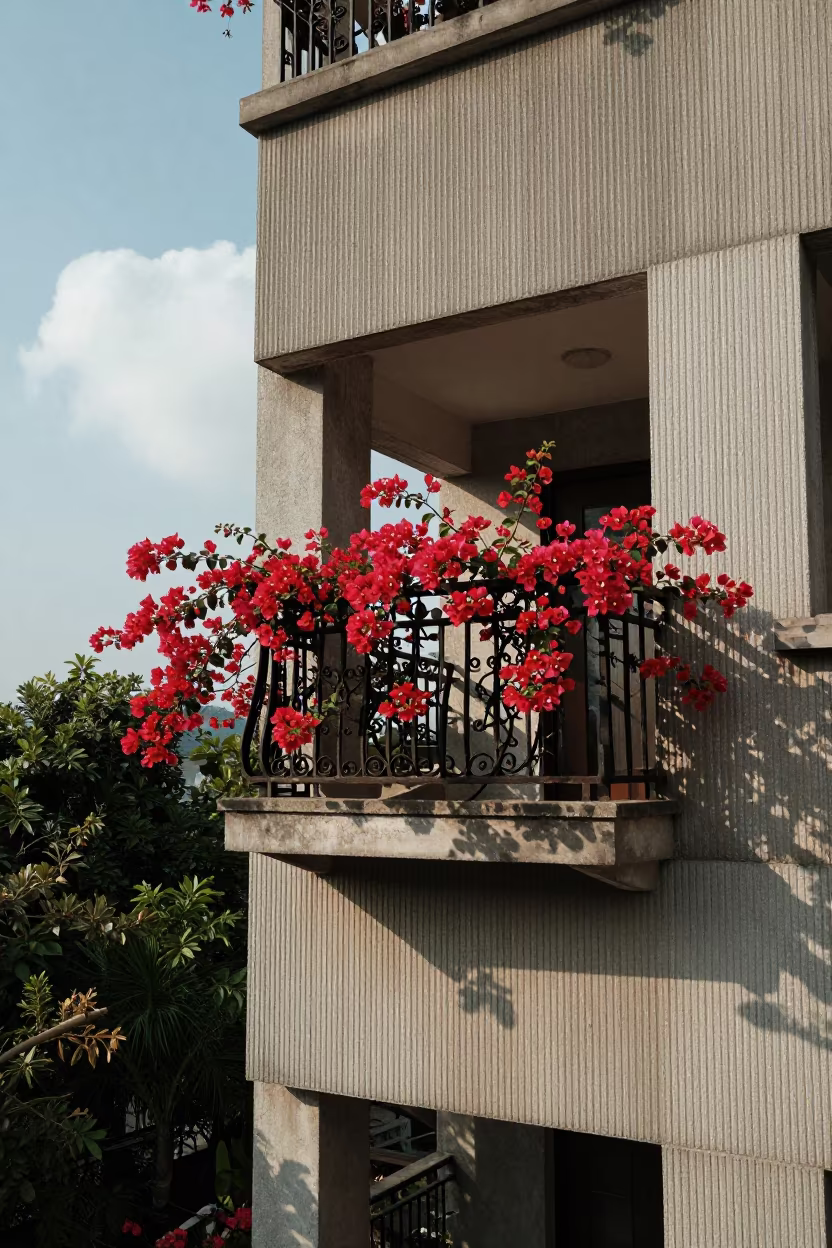 Crimson Bougainvillea on Iron Balcony Hangzhou Lobby in inside a ribbed concrete lobby near Hangzhou