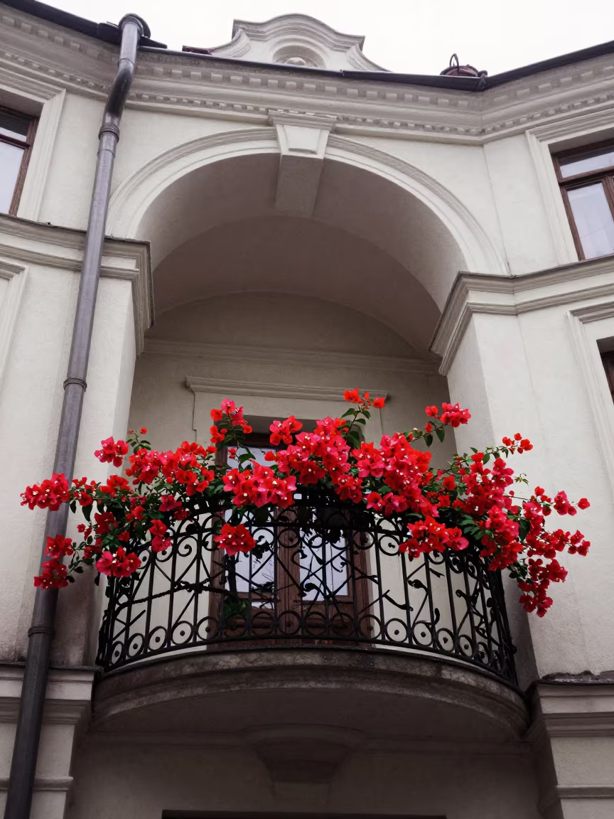 Crimson Bougainvillea on Wrought Iron Atrium Balcony in inside a vaulted atrium near Red October, Moscow