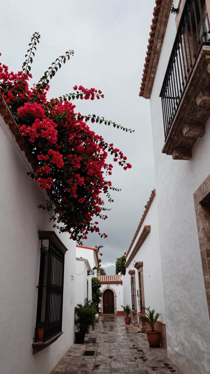 Crimson Bougainvillea on Wrought Iron Balcony in inside a skylit passageway in Machala