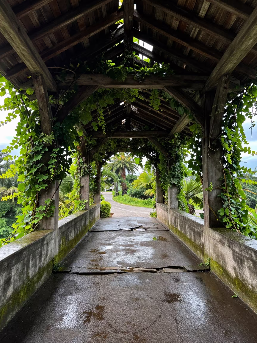 Crumbled Italian Covered Bridge with Daylight Through Roof in along a vine-choked corridor in Italy