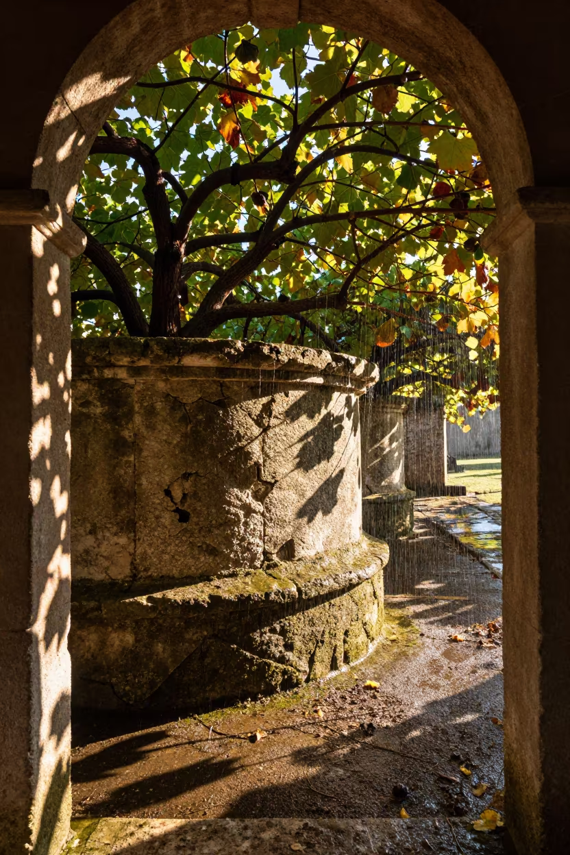 Crumbling Cistern Edge in Veneto Vine Corridor in along a vine-choked corridor in Veneto