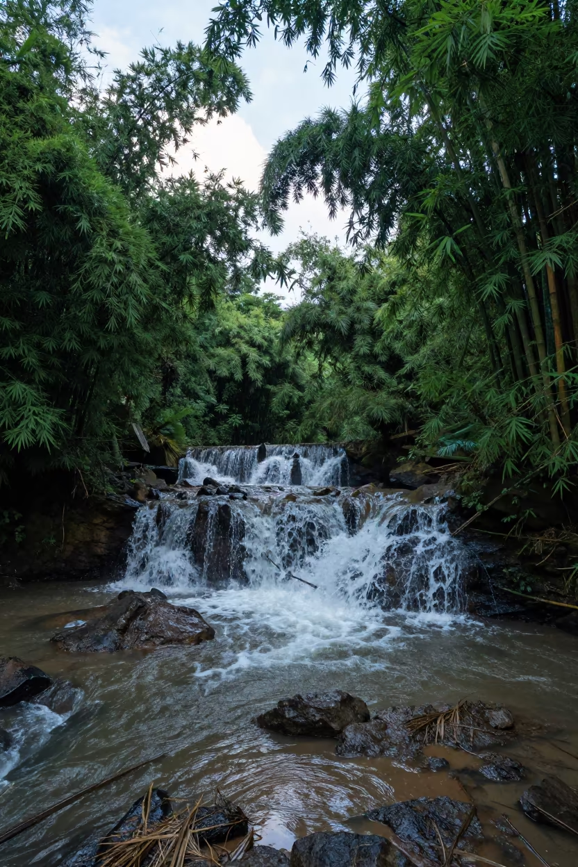 Cuban Bamboo Waterfall Cascade After Rain in across a floodplain after rain in Cuba