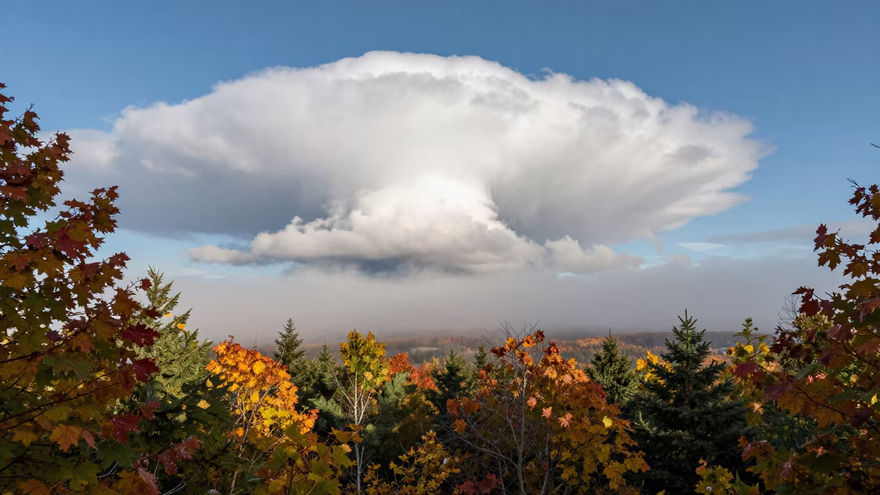 Cumulonimbus Tower Through Autumn Fog New Brunswick in through low marine fog in New Brunswick