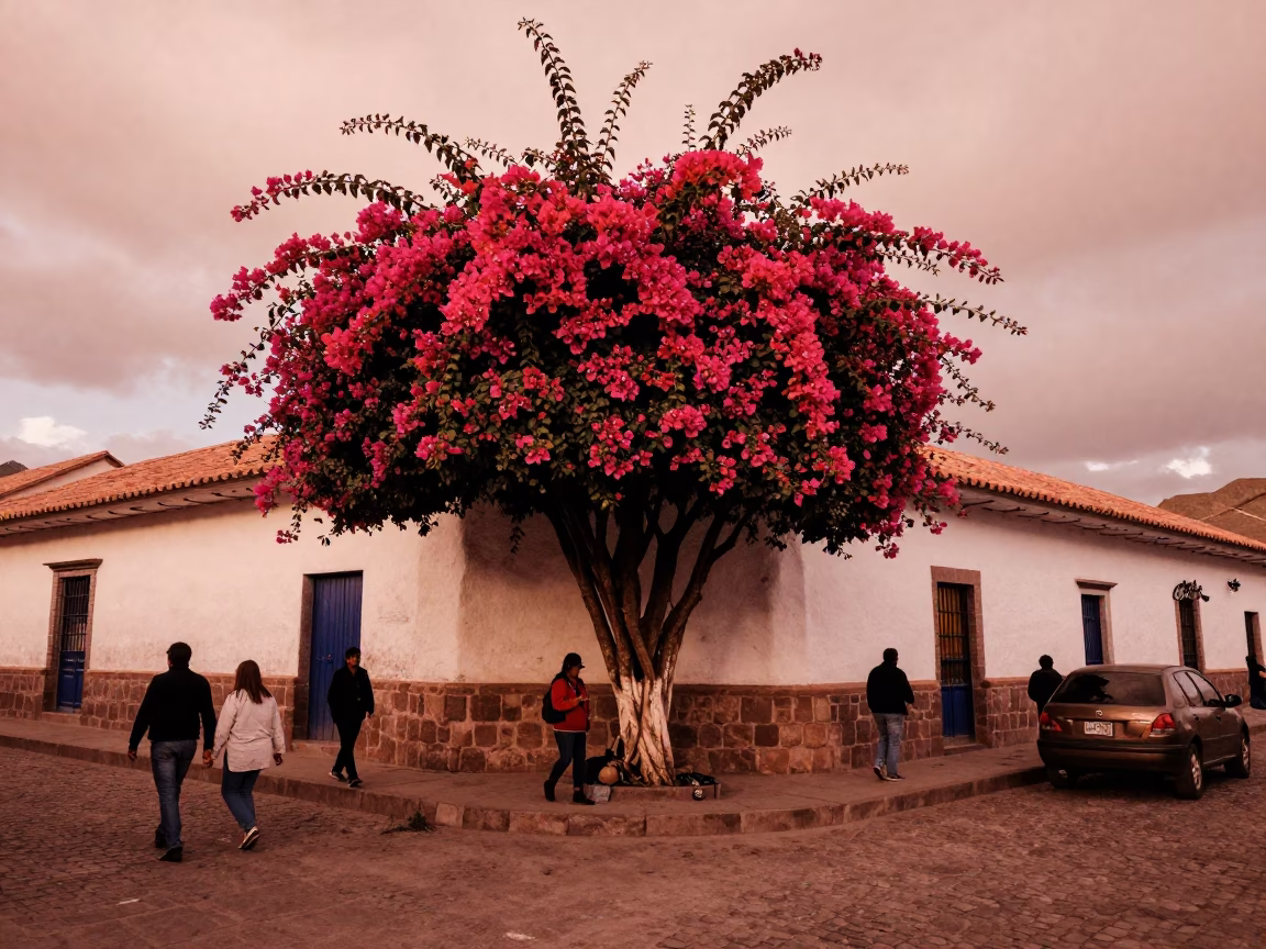 Cusco Peru Street Scene with Bougainvillea and Local Life in Copper Light in in Cusco, Peru