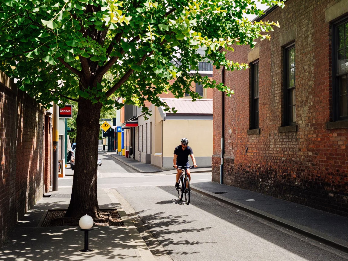 Cyclist navigating Melbourne laneway with ginkgo tree and peg rail in in Melbourne, Victoria, Australia