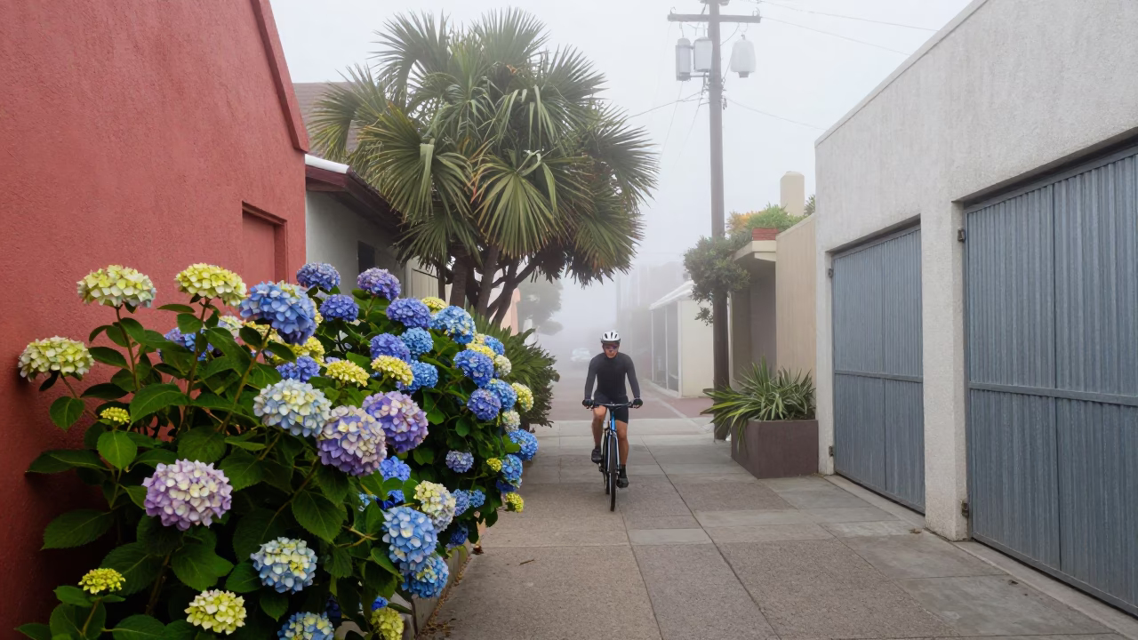 Cyclist Pausing in San Diego in in San Diego, California, United States