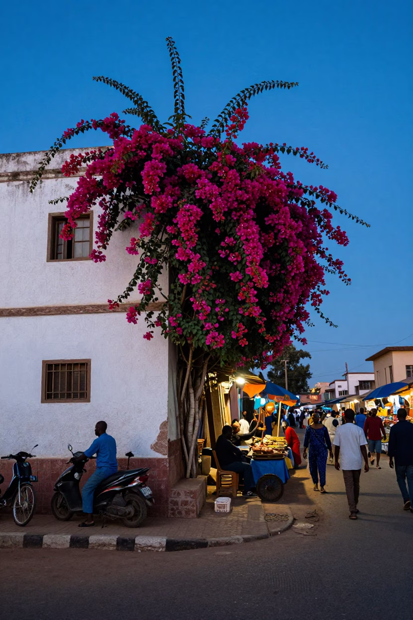 Dakar Senegal Blue Hour Street Scene with Bougainvillea and Busy Market Activity in in Dakar, Senegal