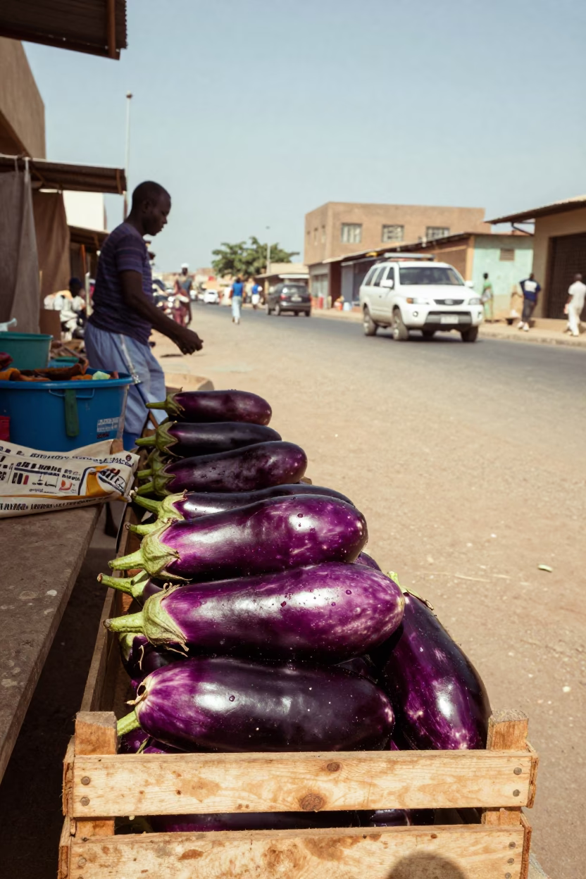 Dakar Senegal Early Afternoon Street Scene with Eggplants and Local Market Interaction in in Dakar, Senegal