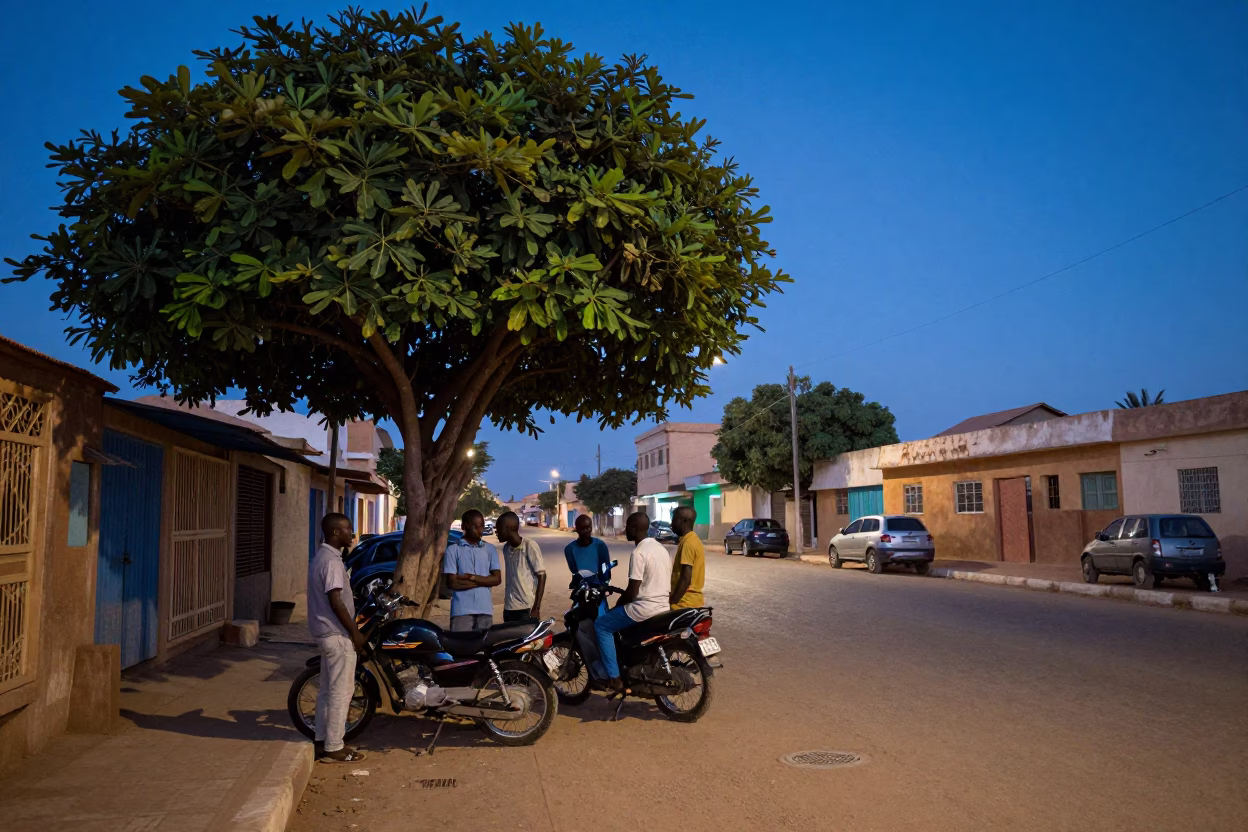 Dakar Senegal indigo twilight street scene with fig tree and local life in in Dakar, Senegal