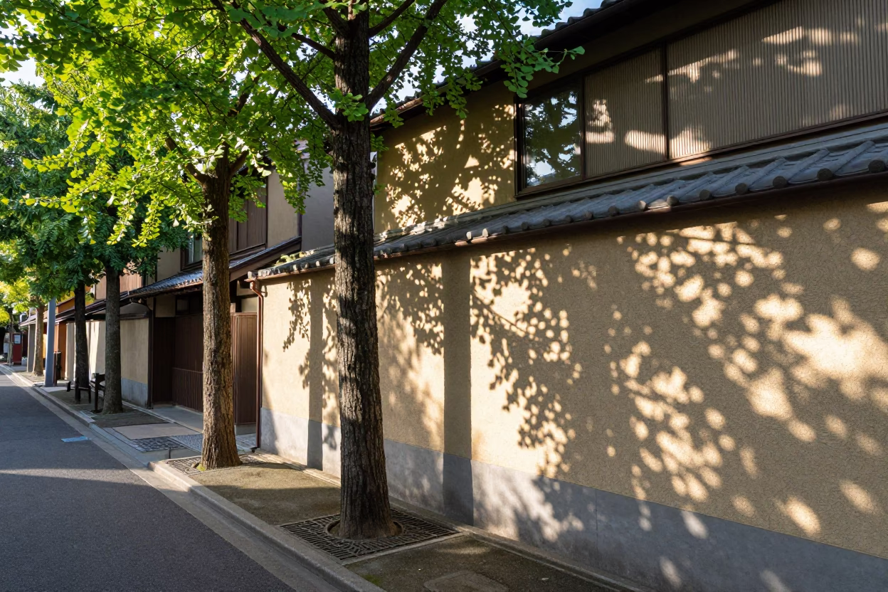 Dappled Leaf Shadows on Plaster in Osaka Japan Early Afternoon Street Scene in in Osaka, Japan