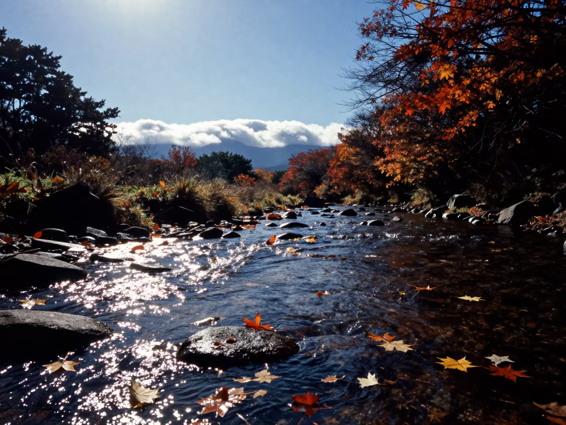 Dappled Light on Forest Stream Under Thunderheads in over a horizon of stacked thunderheads in Kyushu