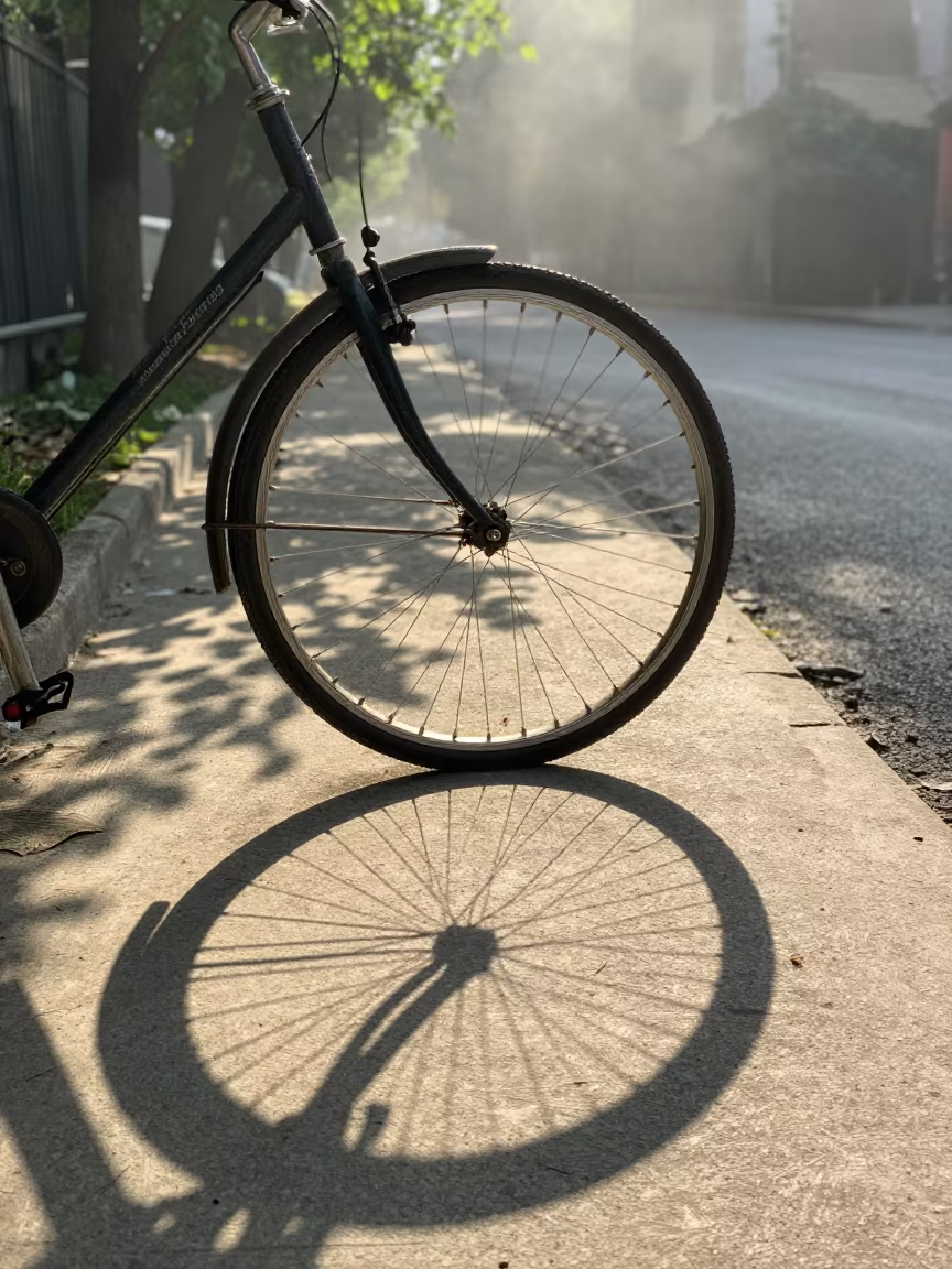 Dappled Shadows Bicycle Wheel Kırıkkale Sidewalk in near Kırıkkale