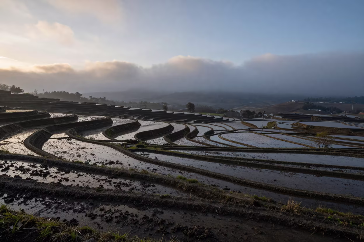 Dark Plowed Fields Before Sunrise in San Lorenzo in among terraced rice paddies near San Lorenzo