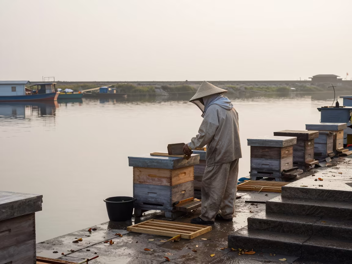Dawn Beekeeper at Hue Harbor Quay in at a harbor quay near Hue