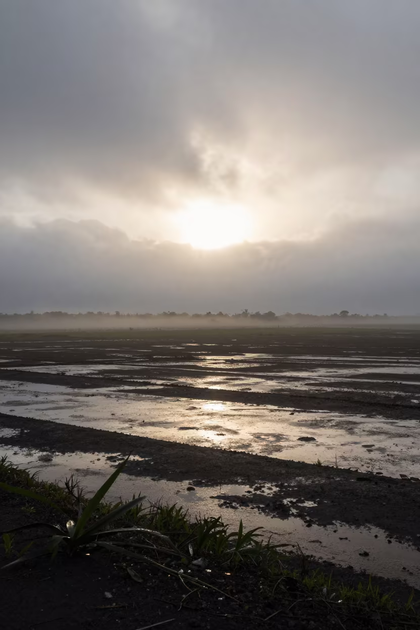 Dawn breaks golden over misty highland plateau near Callejon de Hamel in across a storm-bright plain near Callejon de Hamel, Havana