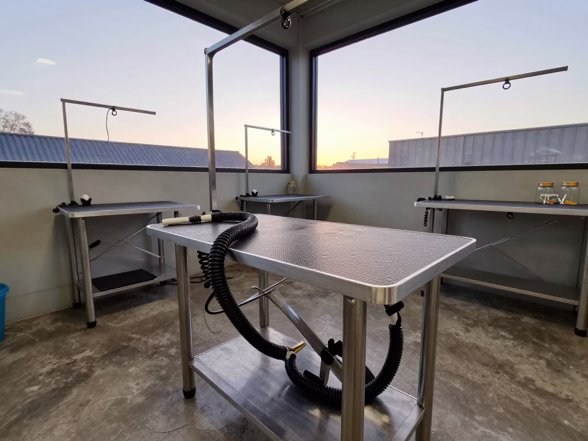 Dawn grooming table with tools in Leicester bay in inside a grooming bay in Leicester
